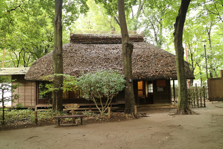 蘆花恒春園 (12)