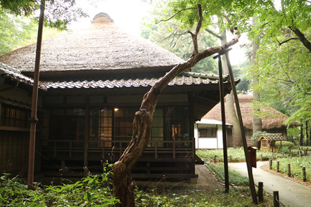 蘆花恒春園 (14)