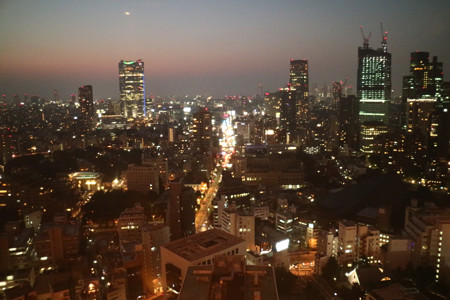 東京タワー (3)
