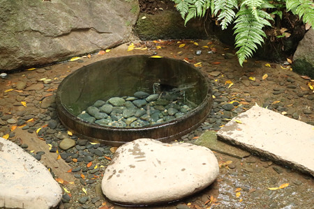 明治神宮 (4)