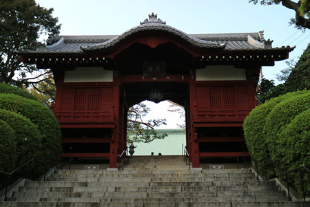 護国寺 (1)