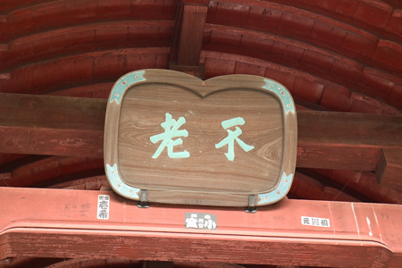 護国寺 (2)