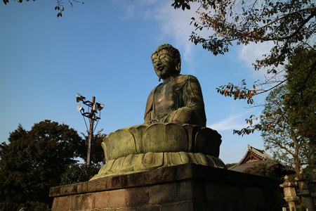 護国寺 (3)