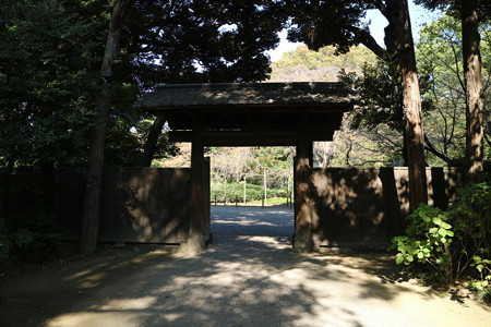 六義園 (1)