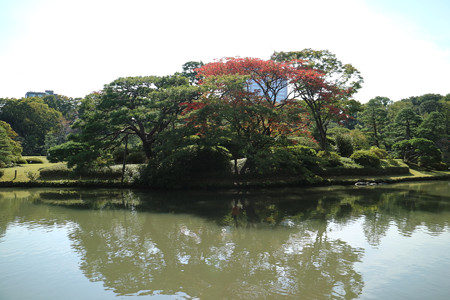六義園 (10)