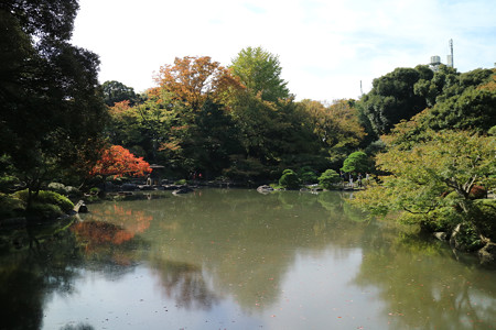 旧古河庭園 (9)