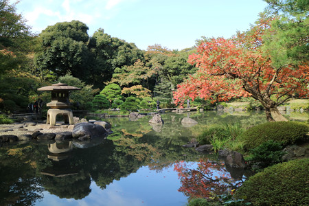 旧古河庭園 (11)