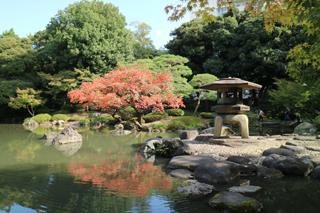 旧古河庭園 (12)