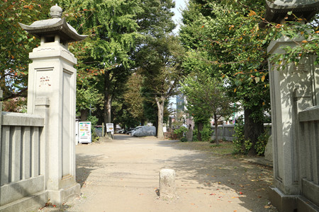 平塚城（平塚神社） (4)