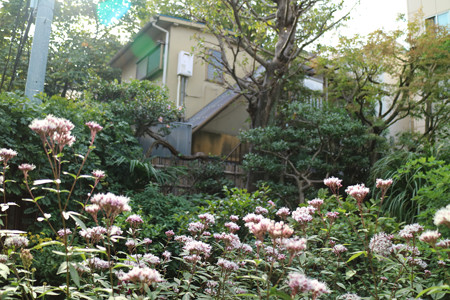 子規庵 (10)