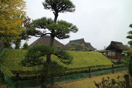 足利学校 (1)