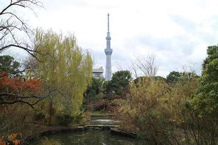 向島百花園 (6)