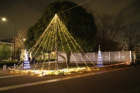 国営昭和記念公園　Winter　Vista　Illumination3