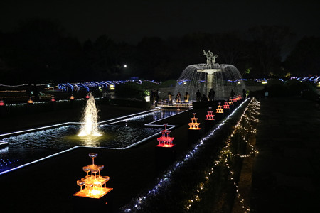 国営昭和記念公園　Winter　Vista　Illumination7