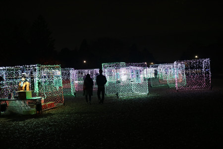 国営昭和記念公園　Winter　Vista　Illumination9