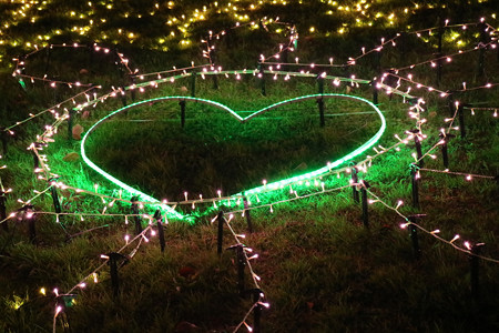 国営昭和記念公園　Winter　Vista　Illumination21