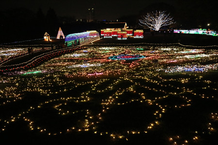 国営昭和記念公園　Winter　Vista　Illumination23