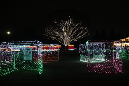 国営昭和記念公園　Winter　Vista　Illumination24