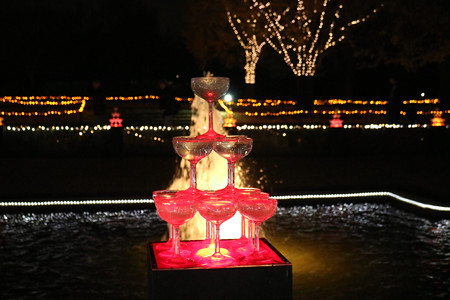 国営昭和記念公園　Winter　Vista　Illumination25
