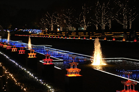 国営昭和記念公園　Winter　Vista　Illumination26