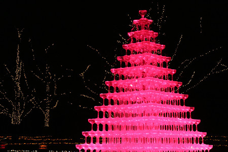 国営昭和記念公園　Winter　Vista　Illumination27
