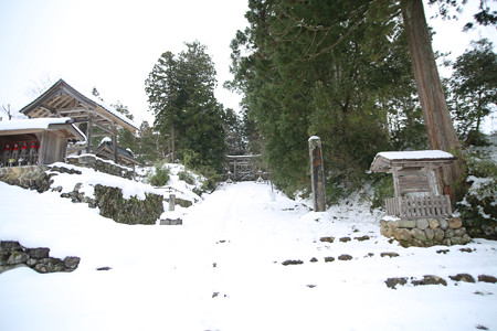 平泉寺白山神社 (7)