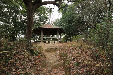 明禅寺城 (1)