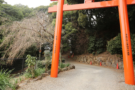 伊豆山神社 (7)
