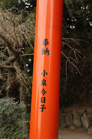 伊豆山神社 (8)