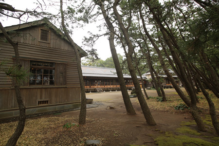 沼津御用邸記念公園 (27)