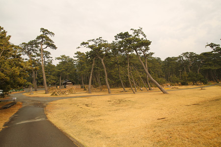 沼津御用邸記念公園 (29)