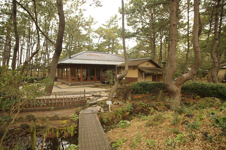 沼津御用邸記念公園 (35)
