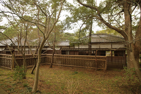 沼津御用邸記念公園 (36)