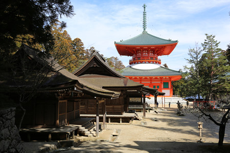 高野山壇上伽藍 (5)