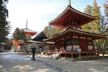 高野山壇上伽藍 (9)