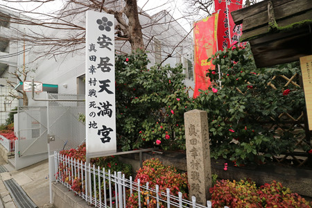安居神社〔安居天満宮〕 (7)