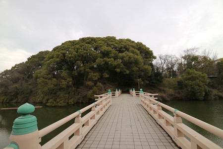 茶臼山 (6)