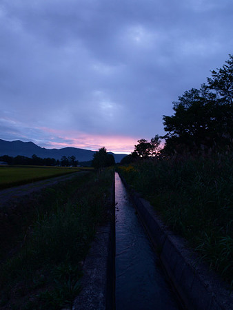 夕暮れ