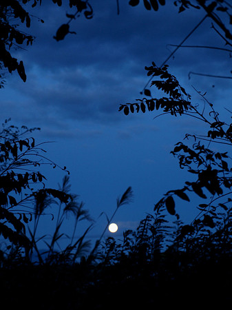 月夜2