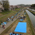 Photos: BBQ