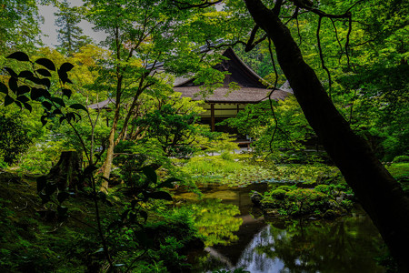 南禅寺 南禅院庭園1