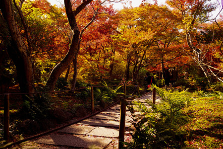 宝筐院-3