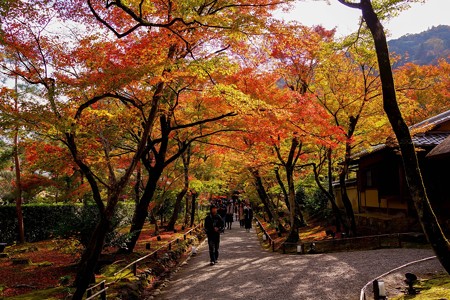 宝厳院-2