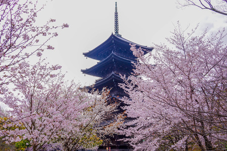 東寺五重塔
