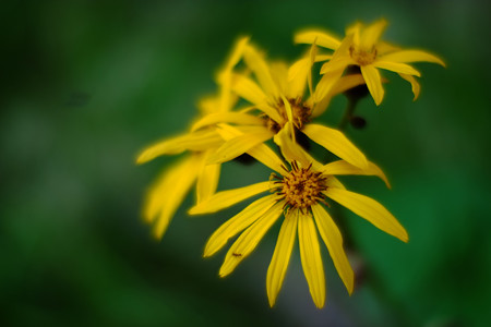 DSCF1402