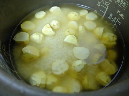 DSCF2486