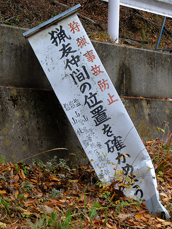 DSCF4633
