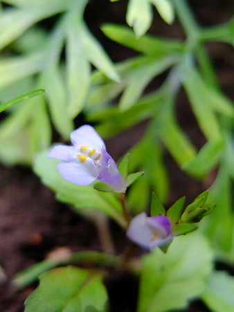 DSCF5692