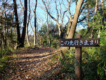 DSCF5976