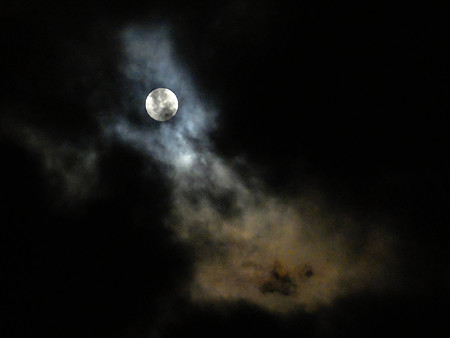 DSCF6205